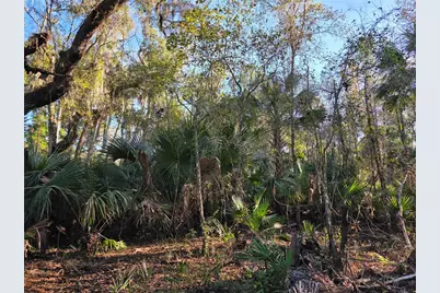 1243 Gee Whiz Drive, Osteen, FL 32764 - Photo 18