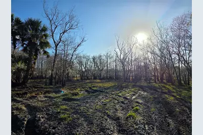 1243 Gee Whiz Drive, Osteen, FL 32764 - Photo 38