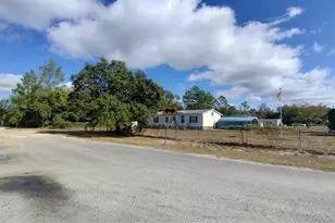 28515 Poinsettia Ave, Paisley, FL 32767 - Photo 24