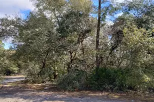 28515 Poinsettia Ave, Paisley, FL 32767 - Photo 26