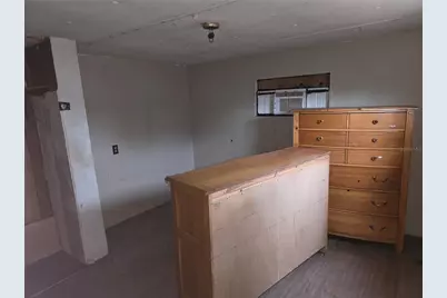 45528 Palm Street, Paisley, FL 32767 - Photo 8