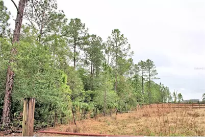 849 Ashby Way, Osteen, FL 32764 - Photo 6