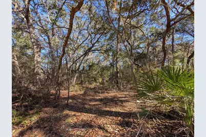 Lake Margaret Blvd, Pomona Park, FL 32181 - Photo 10