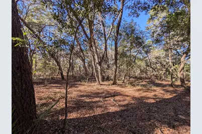 Lake Margaret Blvd, Pomona Park, FL 32181 - Photo 8