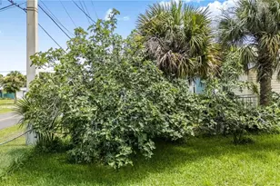 1420 N Grandview Ave, Daytona Beach, FL 32118 - Photo 8