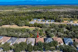 3143 Kailani Ct, Ormond Beach, FL 32174 - Photo 54