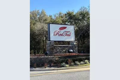 25514 High Hampton Circle, Sorrento, FL 32776 - Photo 48