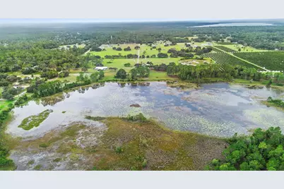 42554 Maggie Jones Road, Paisley, FL 32767 - Photo 58