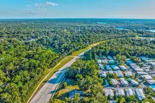 330 Bonnie Ln, Orange City, FL 32763 - Photo 30