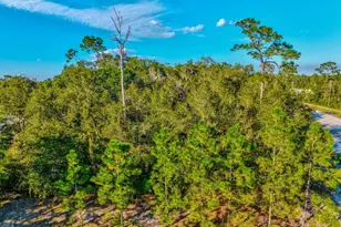 330 Bonnie Ln, Orange City, FL 32763 - Photo 36