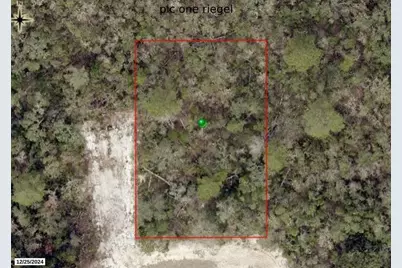 Riegel (Paper) Avenue, Orange City, FL 32763 - Photo 1