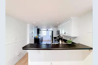 1148 N Grandview Street, Mount Dora, FL 32757 - Photo 42