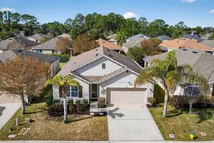 430 Pink Coral Ln, New Smyrna Beach, FL 32168 - Photo 2