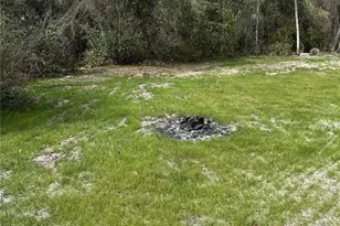 2598 Enterprise Osteen Rd, Osteen, FL 32764 - Photo 50