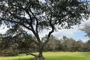 2598 Enterprise Osteen Rd, Osteen, FL 32764 - Photo 18