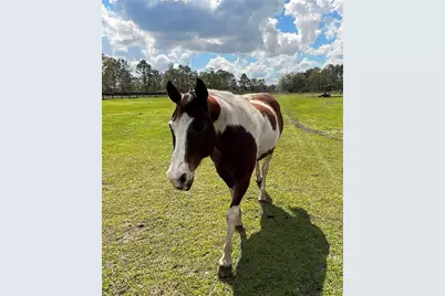 1100 Tallacoe Trail, New Smyrna Beach, FL 32168 - Photo 36