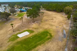 232 Meadow Lark Dr, Osteen, FL 32764 - Photo 48