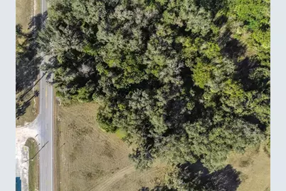 1975 Stone Road, Pierson, FL 32180 - Photo 12