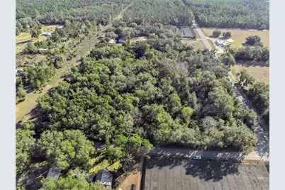 1975 Stone Road, Pierson, FL 32180 - Photo 10