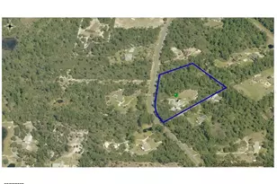 43438 Natchez St, Deland, FL 32720 - Photo 4