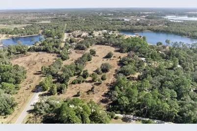 Reynolds Road, De Leon Springs, FL 32130 - Photo 6