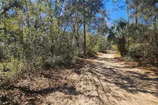 43734 West Ln, Paisley, FL 32767 - Photo 26