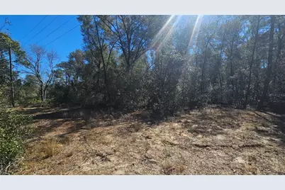 43734 West Lane, Paisley, FL 32767 - Photo 24
