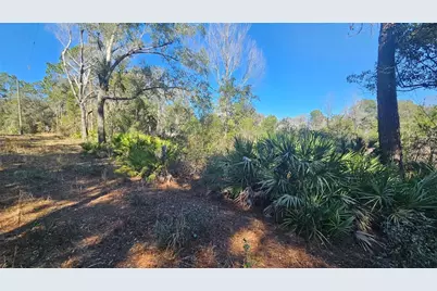 43734 West Lane, Paisley, FL 32767 - Photo 22