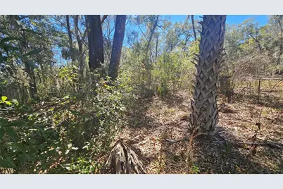 43734 West Lane, Paisley, FL 32767 - Photo 34