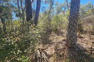 43734 West Ln, Paisley, FL 32767 - Photo 34