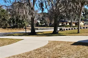 1728 Lime Tree Dr, Edgewater, FL 32132 - Photo 8