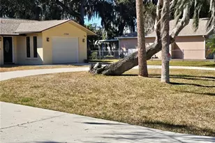 1728 Lime Tree Dr, Edgewater, FL 32132 - Photo 6