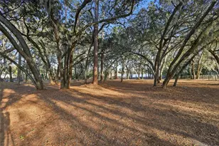 6197 Lake Winona Rd, De Leon Springs, FL 32130 - Photo 32