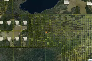 Holopaw Groves Rd, Saint Cloud, FL 34772 - Photo 1