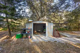 2239 Holly Ln, Deland, FL 32724 - Photo 22