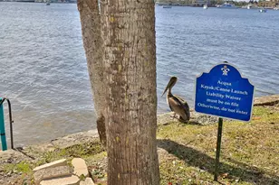 411 N Halifax Ave, Daytona Beach, FL 32118 - Photo 22