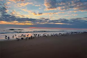 2727 N Atlantic Ave, Daytona Beach, FL 32118 - Photo 10