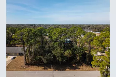 2904 India Palm Drive, Edgewater, FL 32141 - Photo 6