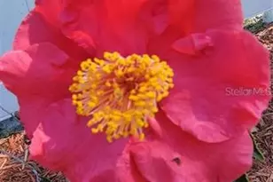 416 W Howry, Deland, FL 32720 - Photo 34