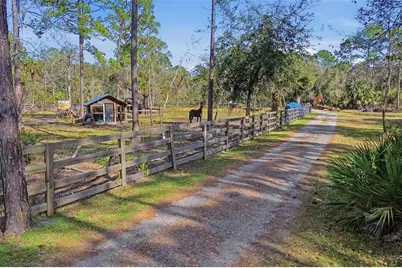 539 Tabatha Drive, Osteen, FL 32764 - Photo 14