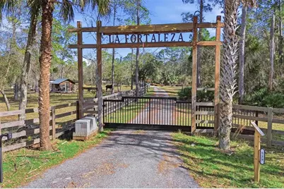 539 Tabatha Drive, Osteen, FL 32764 - Photo 2