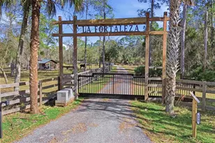 539 Tabatha Dr, Osteen, FL 32764 - Photo 2