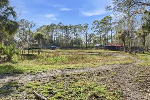 539 Tabatha Dr, Osteen, FL 32764 - Photo 18