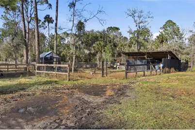 539 Tabatha Drive, Osteen, FL 32764 - Photo 16