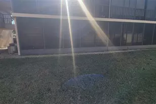 180 Magnolia Woods Ct, Deltona, FL 32725 - Photo 32