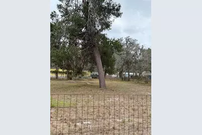 12013 Bethwood Avenue, New Port Richey, FL 34654 - Photo 12