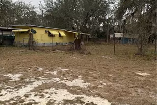 12013 Bethwood Ave, New Port Richey, FL 34654 - Photo 4