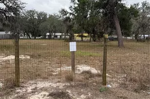 12013 Bethwood Ave, New Port Richey, FL 34654 - Photo 8