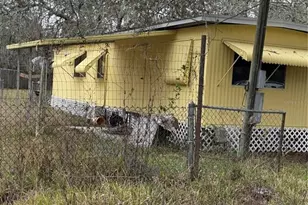 12013 Bethwood Ave, New Port Richey, FL 34654 - Photo 2