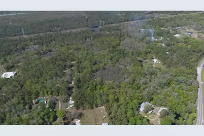 Jungle Road, Geneva, FL 32732 - Photo 10
